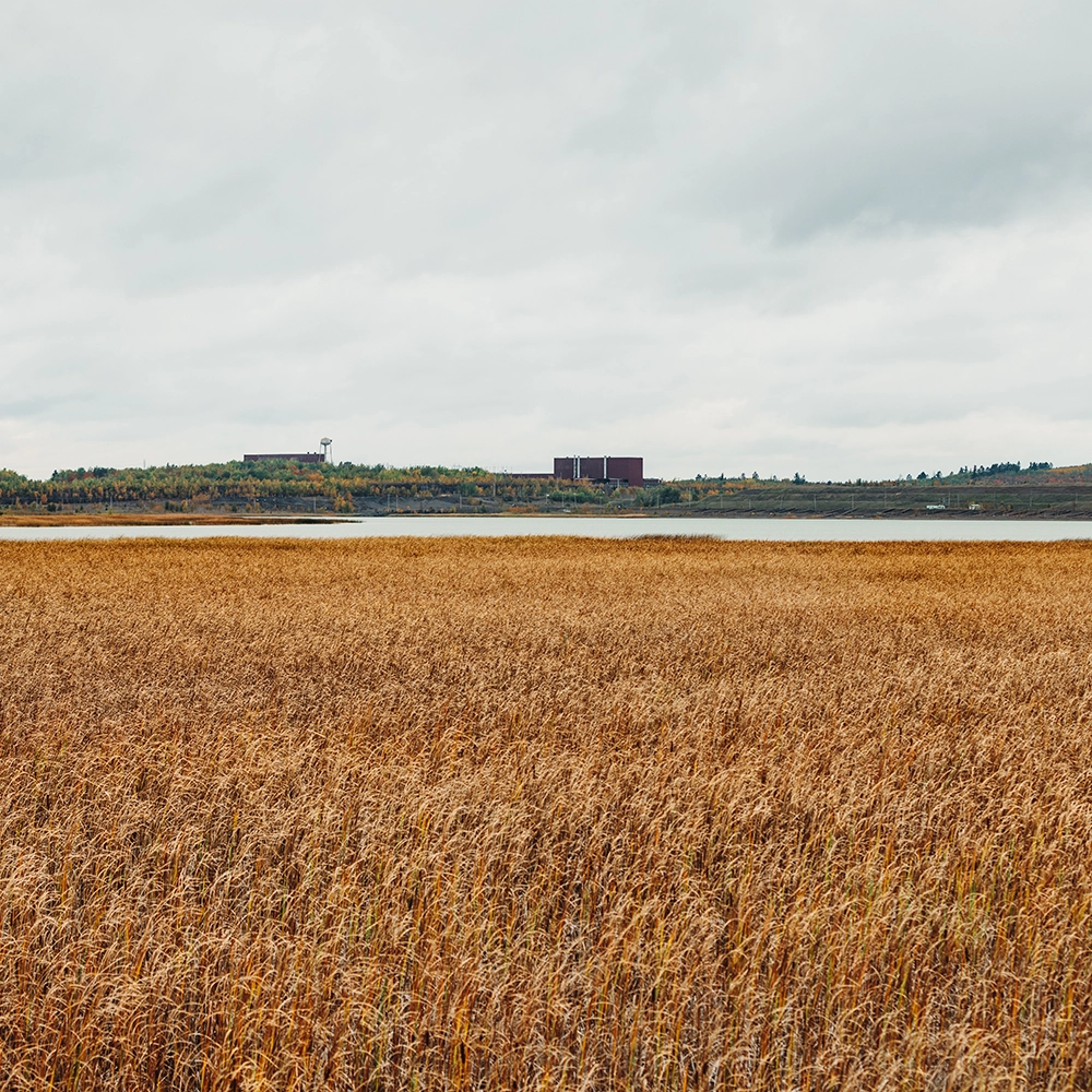 field with water feature in the background